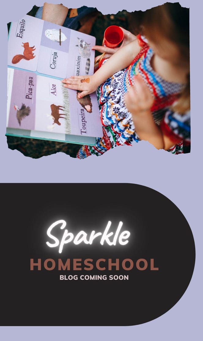 Coming soon my Sparkle Homeschool Blog. All about homeschooling with Wolsey Hall Oxford.